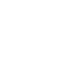 Technical SEO & Web Performance